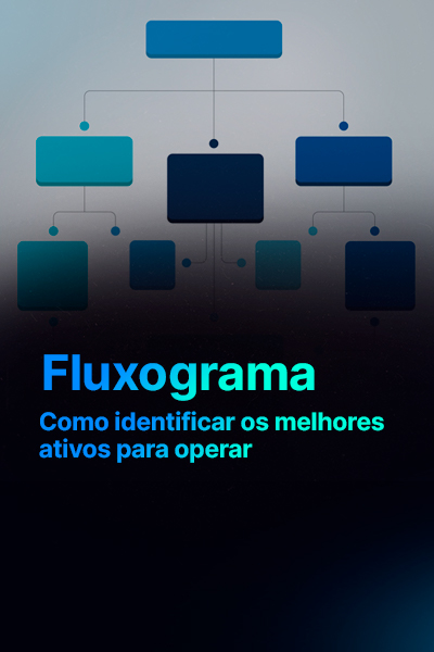 400X600 - Fluxograma